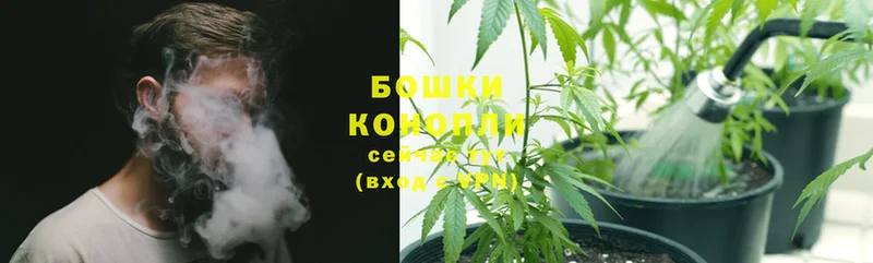 Бошки Шишки White Widow  Жирновск 